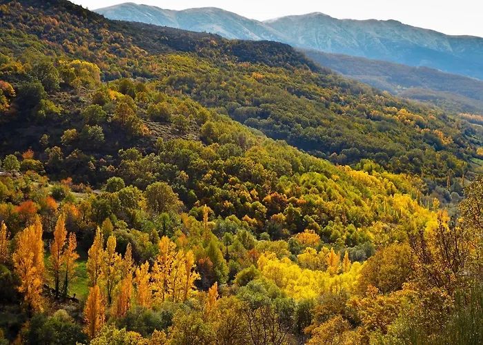 דירה La Casita Del Olivo *